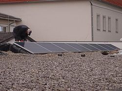 Kreativ-VS Schlierbach
