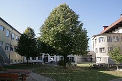 NMS Pettenbach